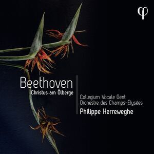 Philippe Herreweghe - Beethoven: Christus Am Olberge  CD